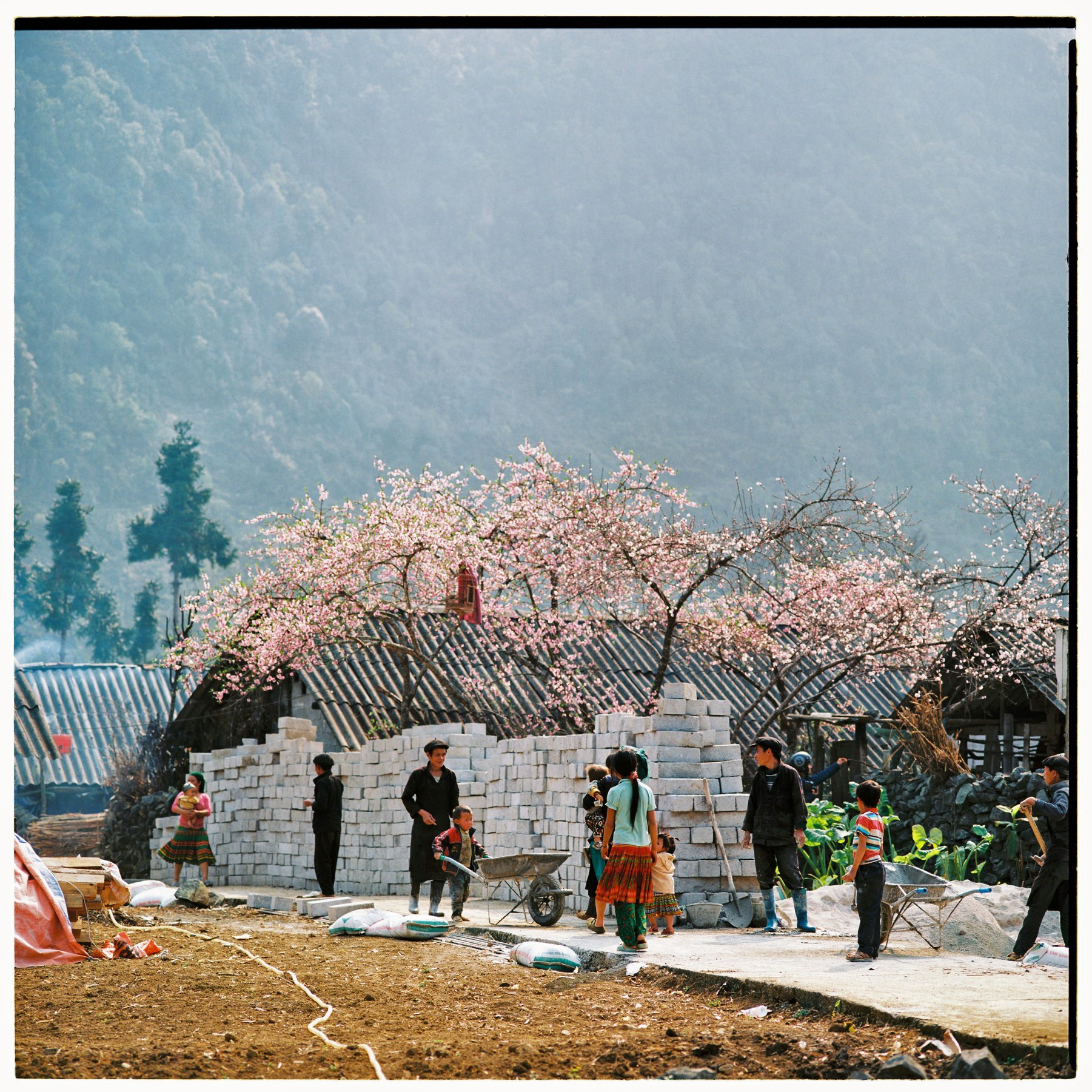 bo-anh-phim-tuyet-dep-ve-cao-nguyen-da-ha-giang-mua-xuan-wetrekvn.jpg