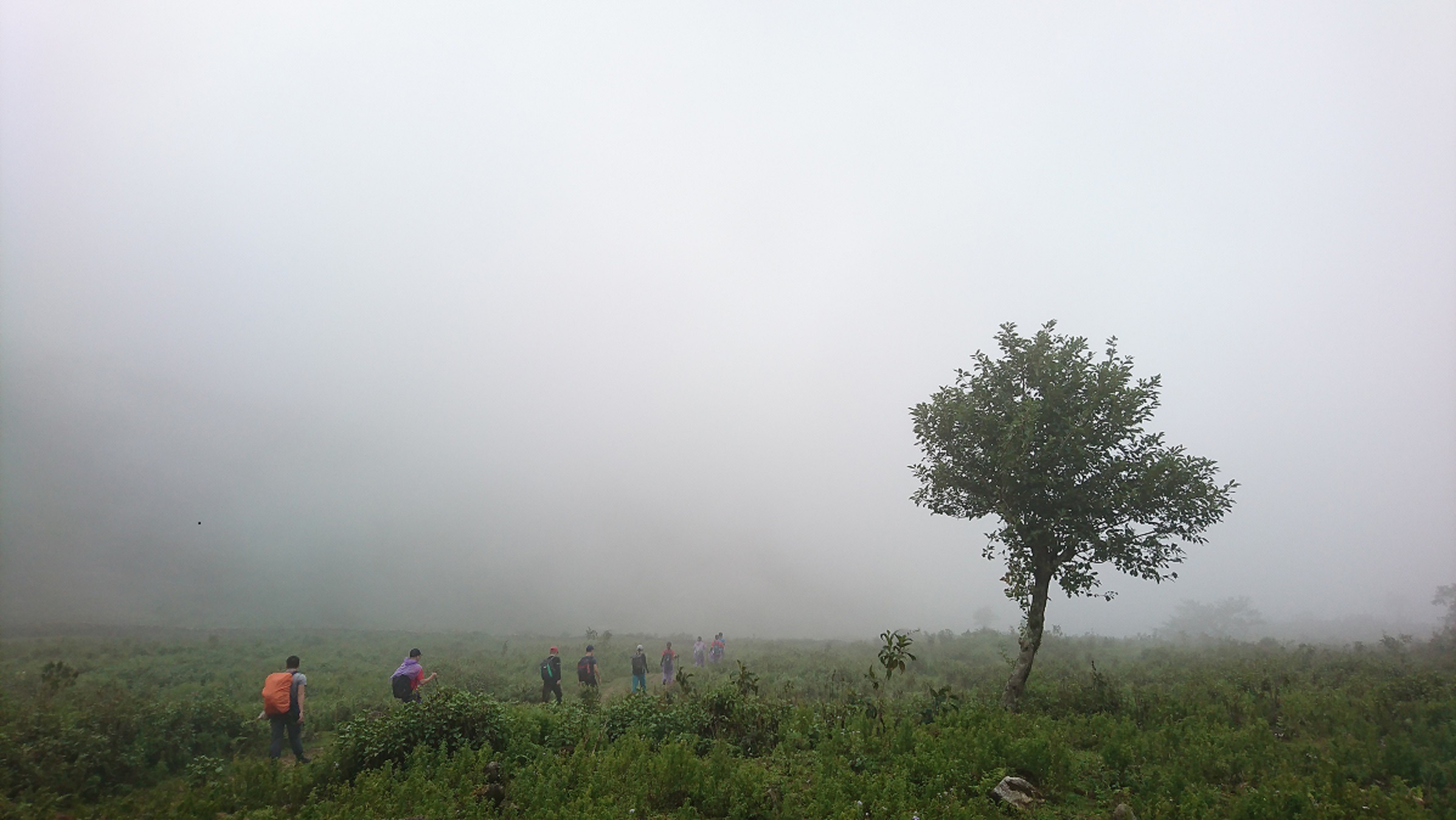 5 cung đường trekking dành cho người mới3