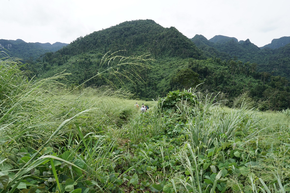Cùng trang bị cho mình những kinh nghiệm khi đi trekking Phong Nha - Kẻ Bàng1