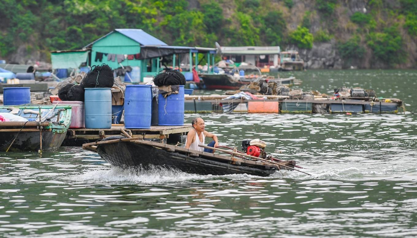 Điểm danh những trải nghiệm không thể bỏ qua khi đến vịnh Lan Hạ2