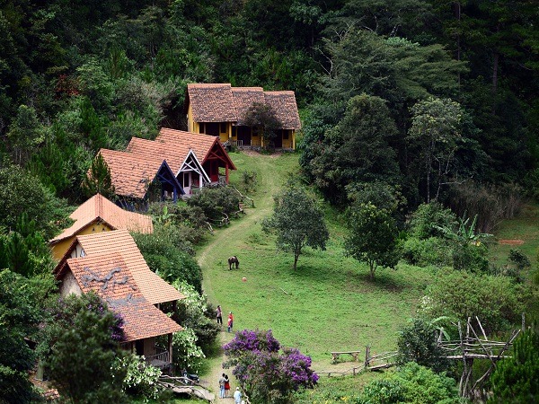 Khám phá Thung Lũng Vàng - địa điểm check in tại Đà Lạt6