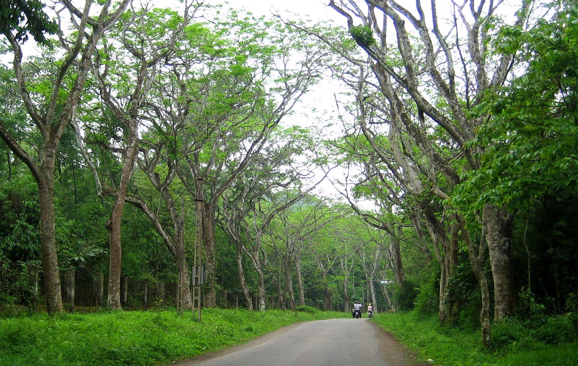 Top những cung đường trekking nên trãi nghiệm ở Việt Nam 5