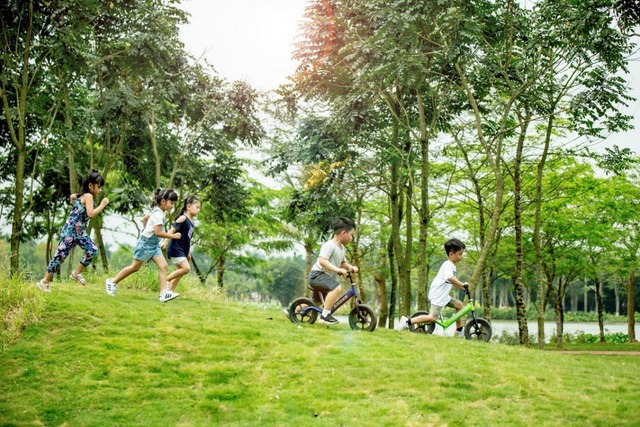 Trải nghiệm cắm trại qua đêm giữa không gian xanh KĐT Ecopark3